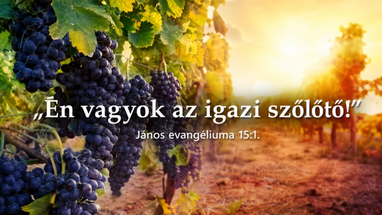 „Én vagyok a szőlőtő, ti a szőlővesszők” – lelki nap a gimnáziumban