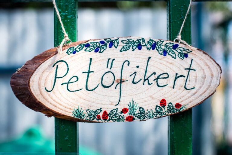Másodjára rendeztünk mentorkerti nyílt napot a Petőfi kertben